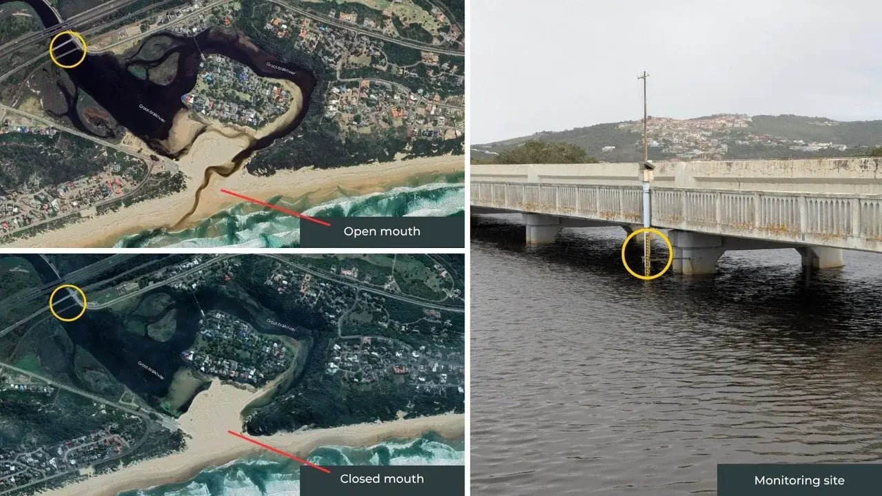 Continuous Water Monitoring Helps Community Solve a Mystery—and Save an Estuary at Risk
