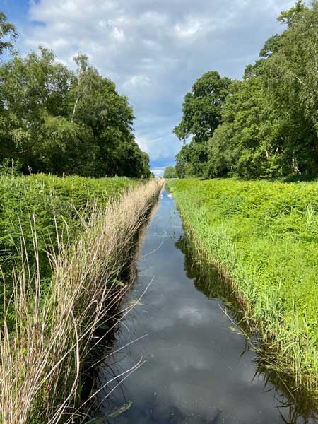 Great-Fen