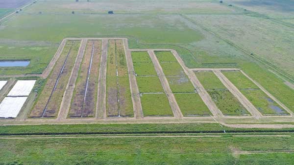 Wet-farming-trials