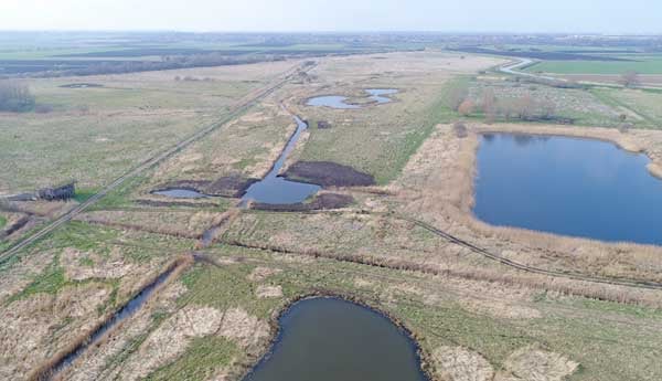 Wetland-restoration-Great-Fen