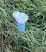 thumbnail-Fen-Groundwater-Well