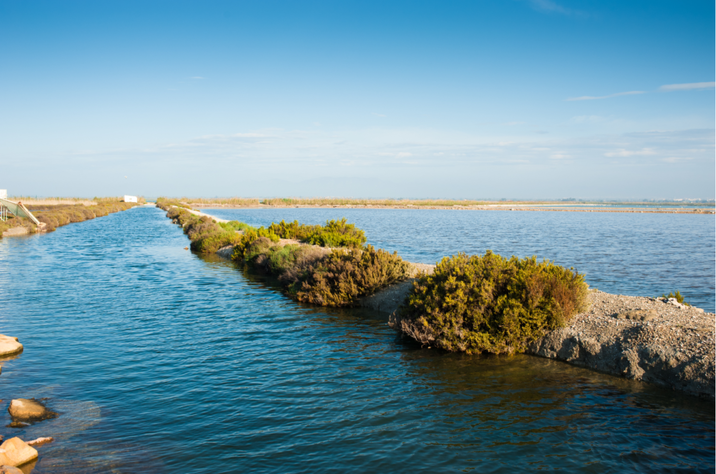 canal where water quality is monitored