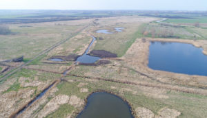 Great Fen, Peat