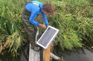 Monitoring ditch water quality using OTT ecoN, Hydrolab HL4 and Sutron XLink 500 in the Netherlands